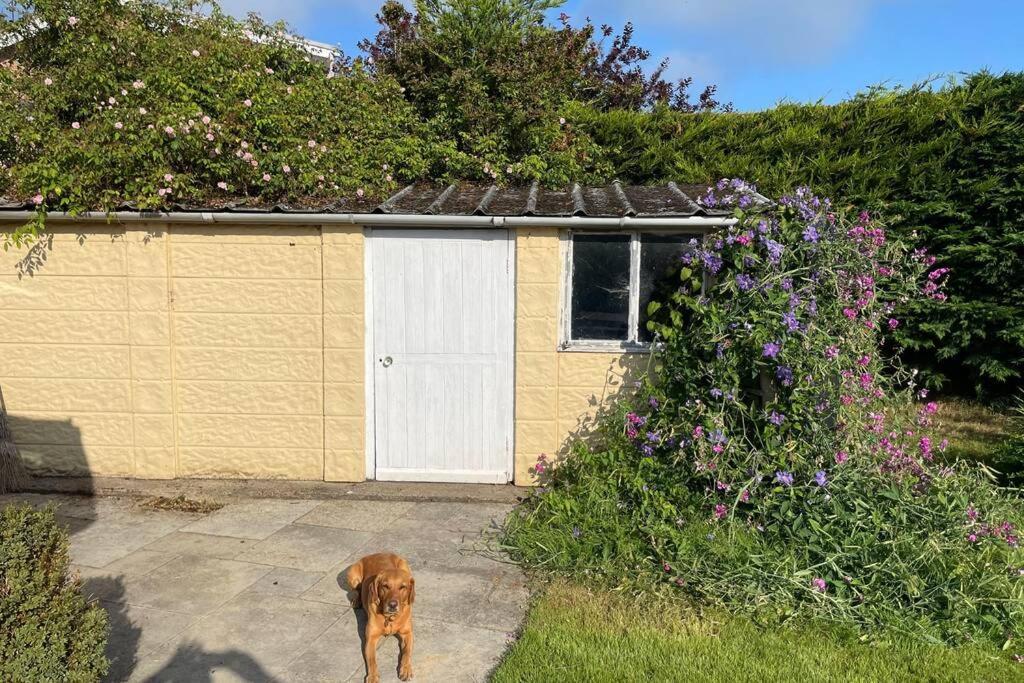 3 Bed Bungalow In Winchcombe, Cotswolds,Gloucester Exterior foto